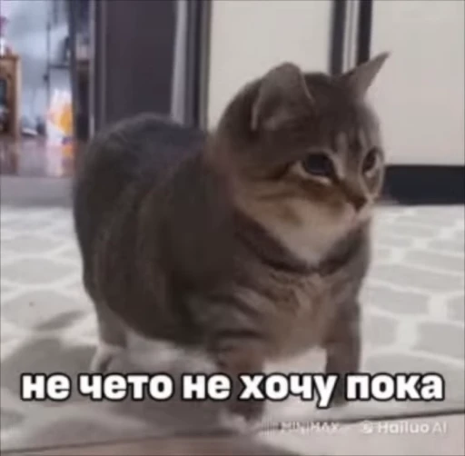 😘 Стикер «сюда мяу ->» для Telegram
