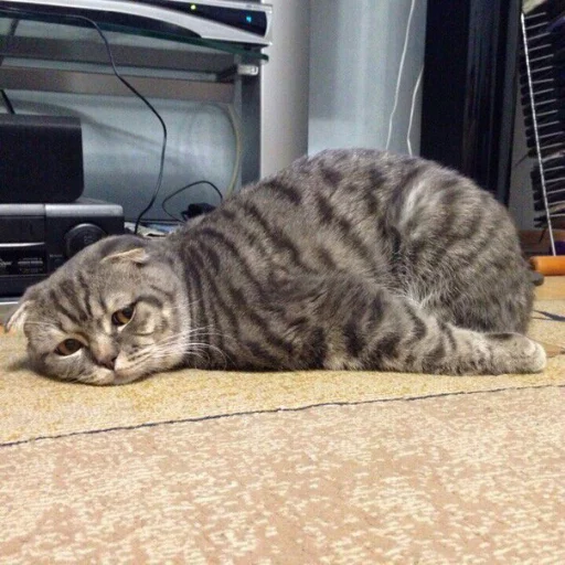 😔 Стикер «~~~» для Telegram