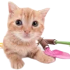 🐱 Эмодзи «Kitties» для Telegram
