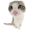 🐱 Эмодзи «Kitties» для Telegram