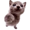 🐱 Эмодзи «Kitties» для Telegram