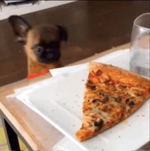 🍕 Стикер «Pizza» для Telegram