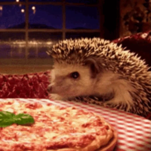 🍕 Стикер «Pizza» для Telegram