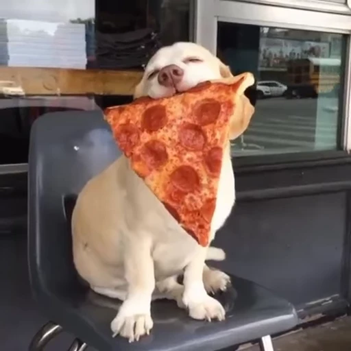 🍕 Стикер «Pizza» для Telegram