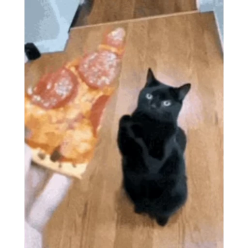 🍕 Стикер «Pizza» для Telegram