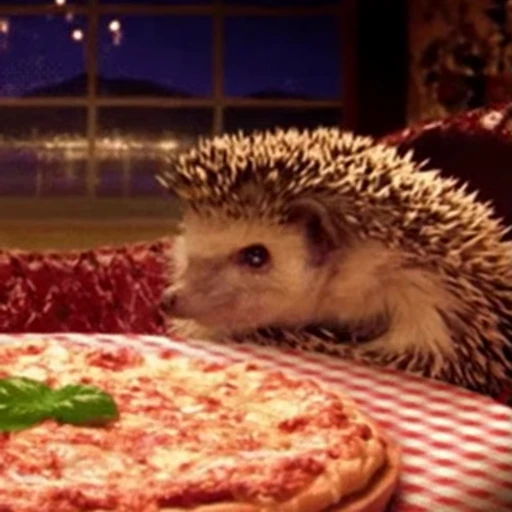 🍕 Стикер «Pizza» для Telegram