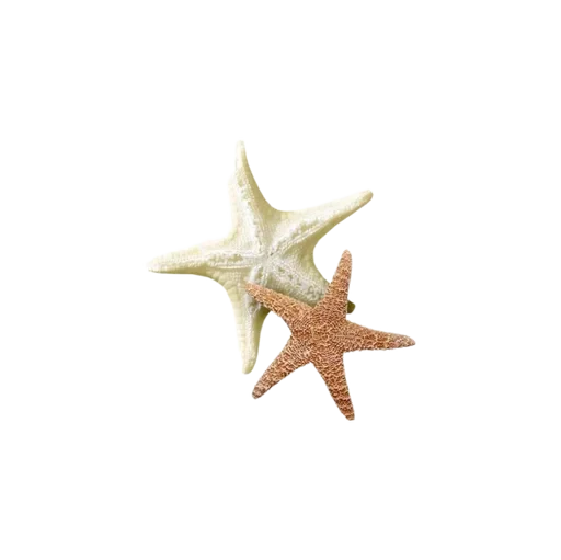 🌟 Стикер «ᴄᴛиᴋᴇᴩы ᴏᴛ ᴩиɯи ! !» для Telegram