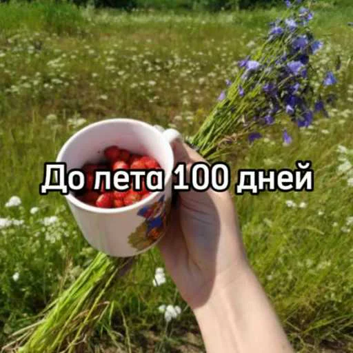 Стикерпак До лета для Telegram — скачать
