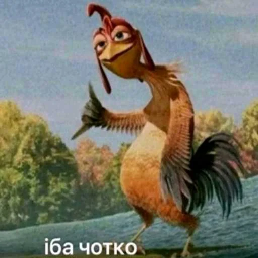 Ибо четко