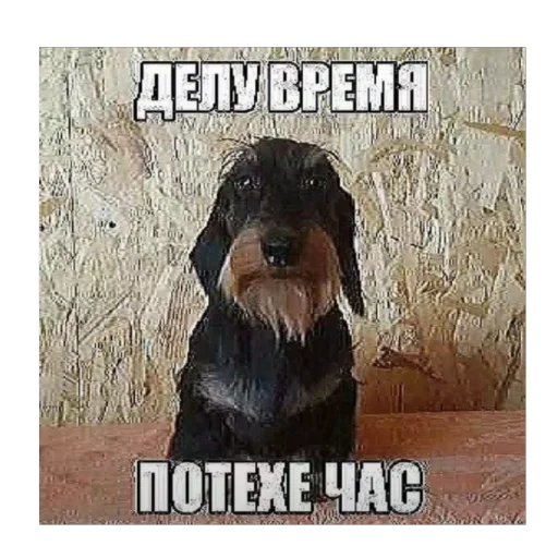 ❤ Стикер «5 минут мозг это че бу» для Telegram