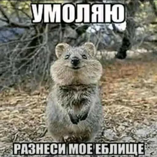 ☺️ Стикер «лол part2» для Telegram