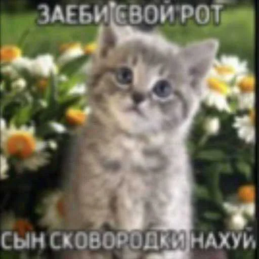 🥹 Стикер «лол part2» для Telegram