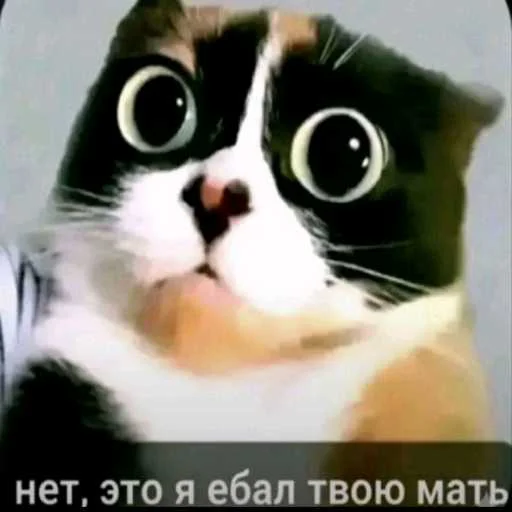 😅 Стикер «лол part2» для Telegram