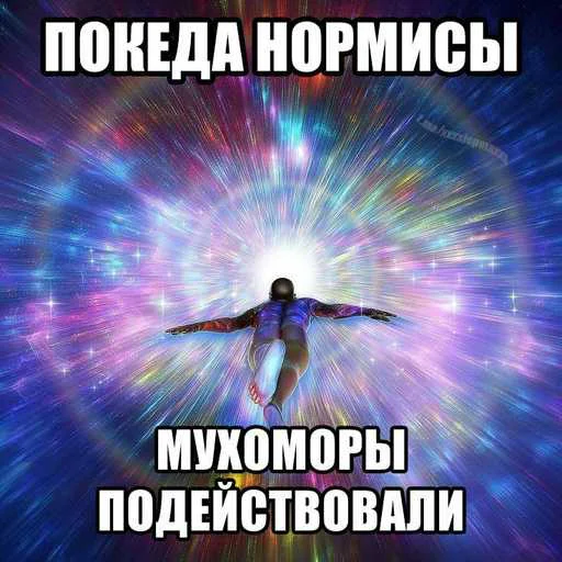 🙈 Стикер «лол part2» для Telegram