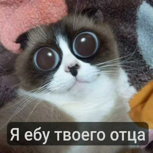 еблан