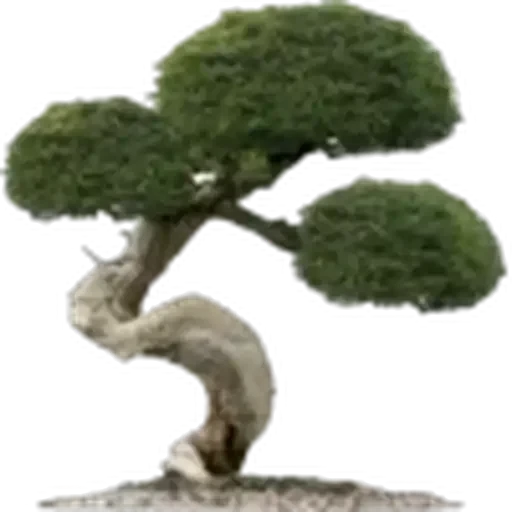 🤩 Стикер «Plants» для Telegram