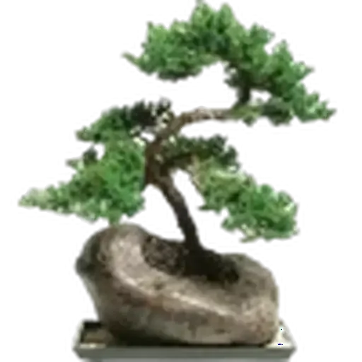 🤩 Стикер «Plants» для Telegram