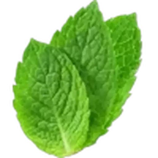 🤩 Стикер «Plants» для Telegram