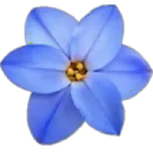 🤩 Стикер «Plants» для Telegram