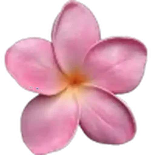🤩 Стикер «Plants» для Telegram