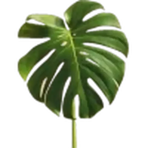 🤩 Стикер «Plants» для Telegram