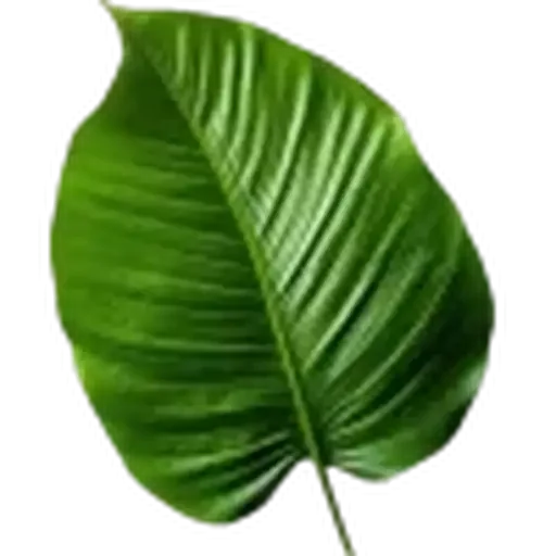🤩 Стикер «Plants» для Telegram