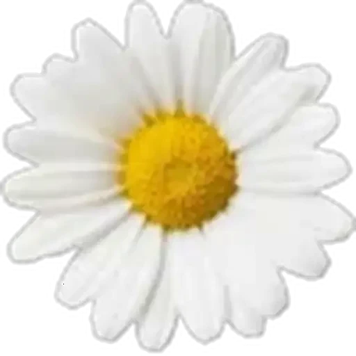 🤩 Стикер «Plants» для Telegram