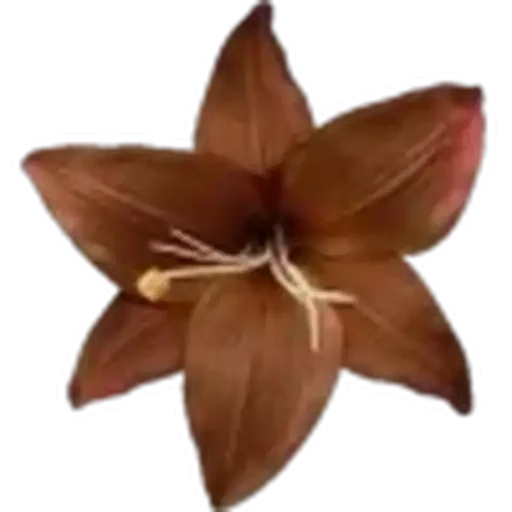 🤩 Стикер «Plants» для Telegram