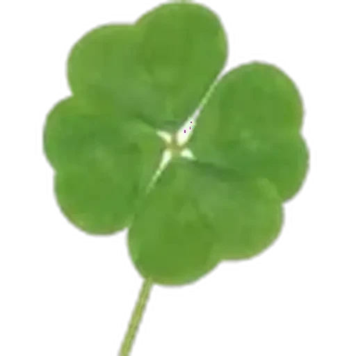 🤩 Стикер «Plants» для Telegram