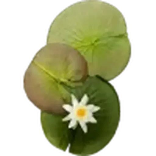 🤩 Стикер «Plants» для Telegram