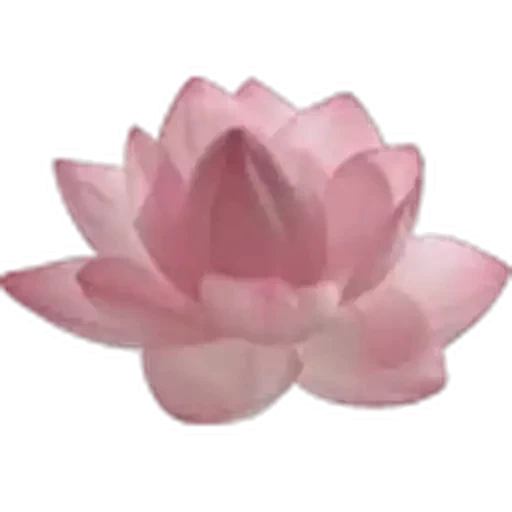 🤩 Стикер «Plants» для Telegram