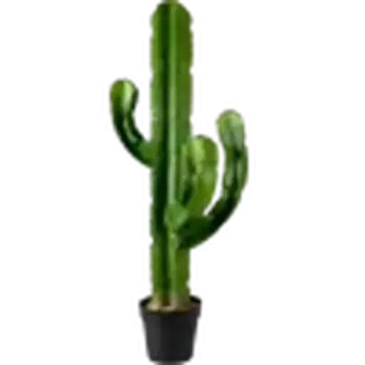 🤩 Стикер «Plants» для Telegram