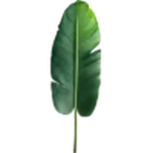 🤩 Стикер «Plants» для Telegram