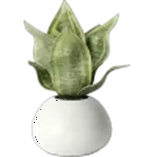 🤩 Стикер «Plants» для Telegram