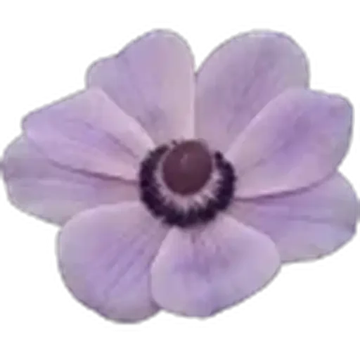 🤩 Стикер «Plants» для Telegram