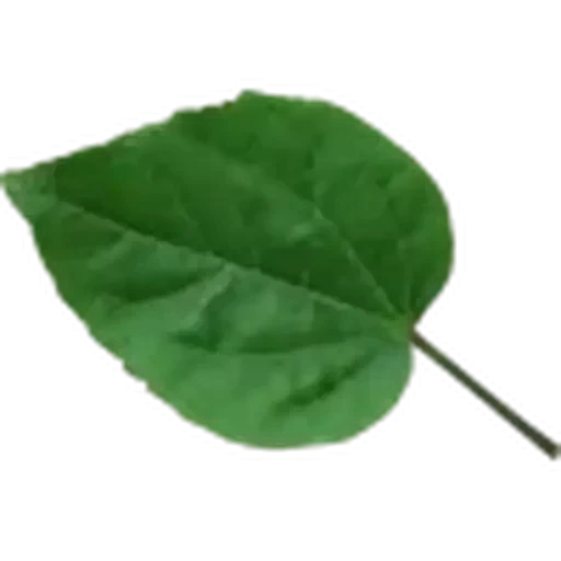 🤩 Стикер «Plants» для Telegram