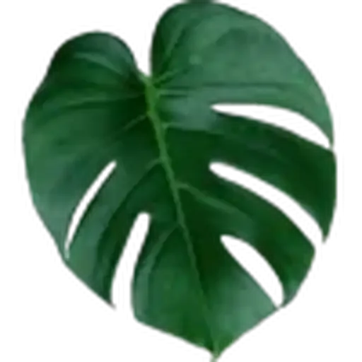 🤩 Стикер «Plants» для Telegram