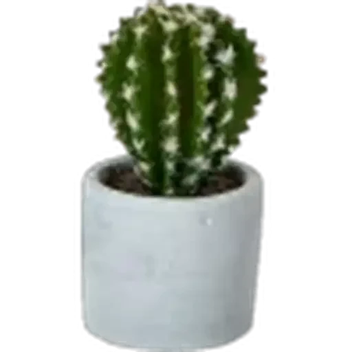 🤩 Стикер «Plants» для Telegram