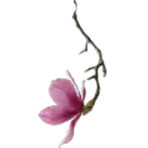 🤩 Стикер «Plants» для Telegram