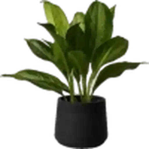 🤩 Стикер «Plants» для Telegram