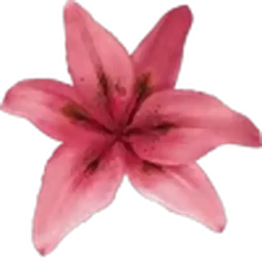 🤩 Стикер «Plants» для Telegram