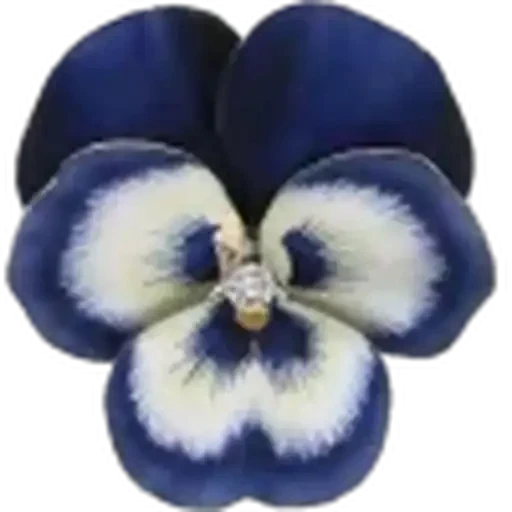 🤩 Стикер «Plants» для Telegram