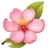 🤩 Эмодзи «Хайп» для Telegram