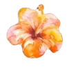 🤩 Эмодзи «Хайп» для Telegram