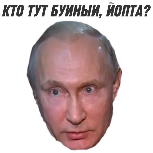 😡 Стикер «ploti_nologi» для Telegram