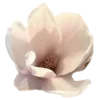 🤩 Эмодзи «calmness» для Telegram