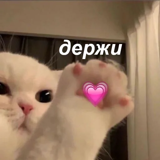 ☺️ Стикер «ты лапочка» для Telegram