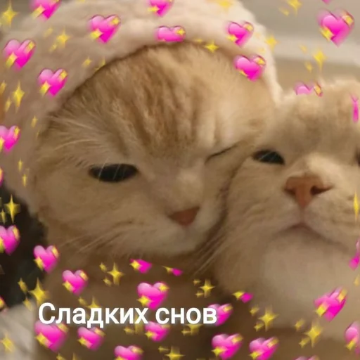 ☺️ Стикер «ты лапочка» для Telegram