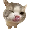 🎂 Эмодзи «Popipopipu» для Telegram