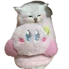 🎆 Эмодзи «Popipopipu» для Telegram